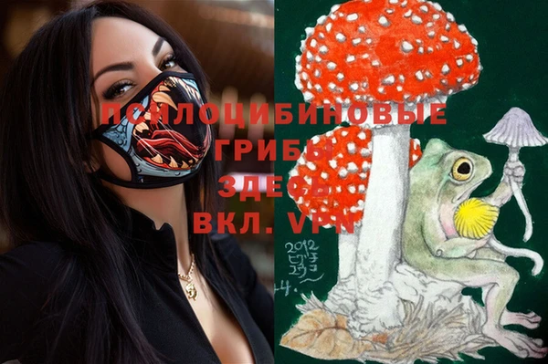 mdma Касимов