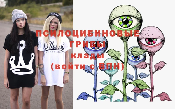 спайс Карпинск