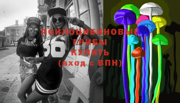 спайс Карпинск
