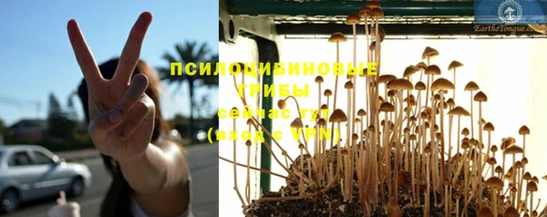 спайс Карпинск