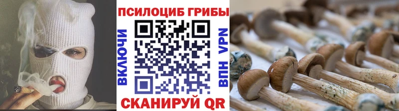 Купить закладки  Новопавловск  Псилоцибиновые грибы мухоморы 